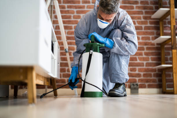 Best Residential Pest Control  in Ionia, MI